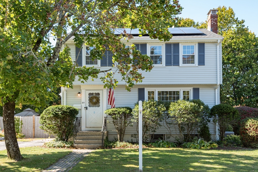 65 Damon Road