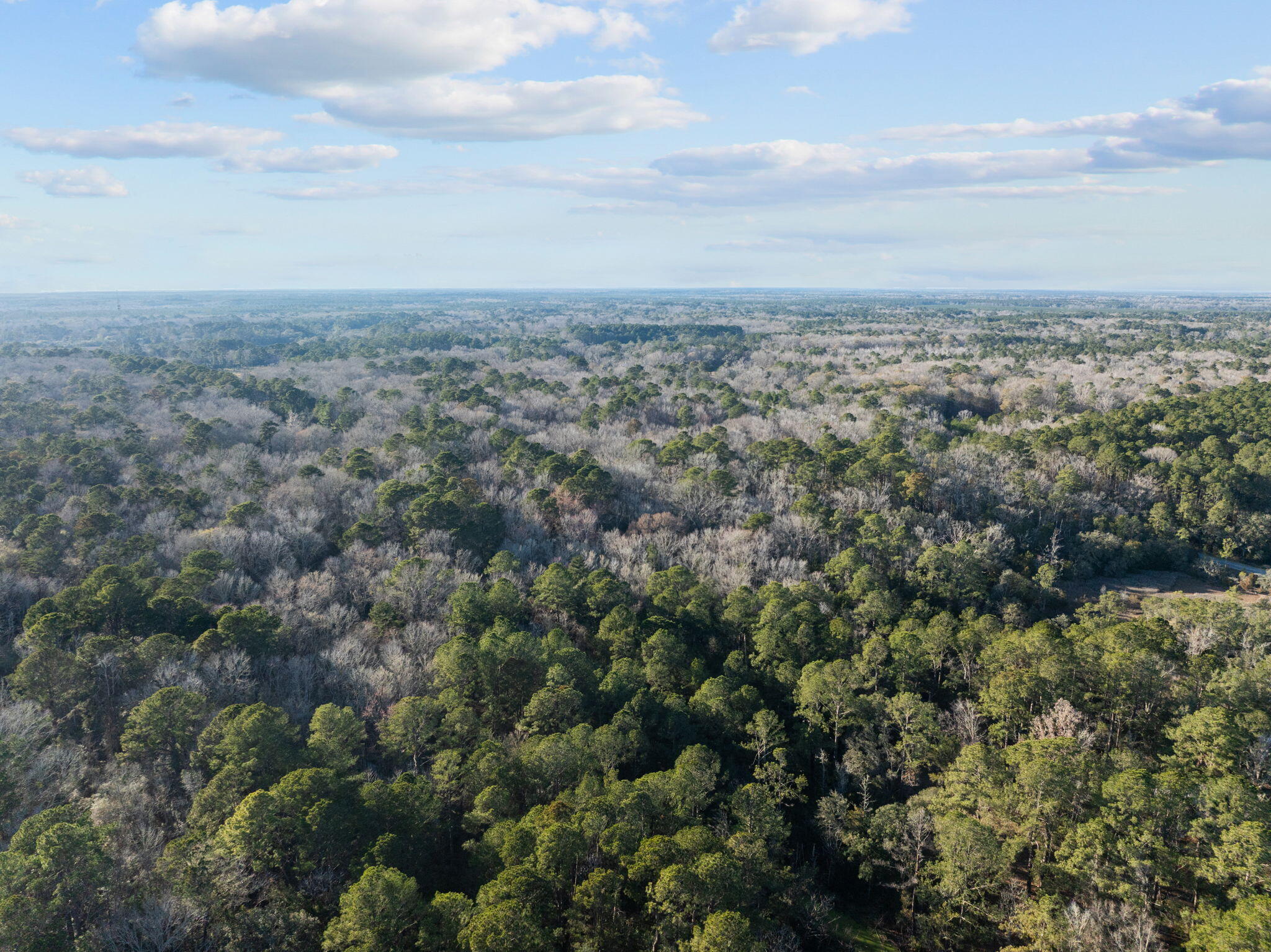 03 Summit Plantation Road