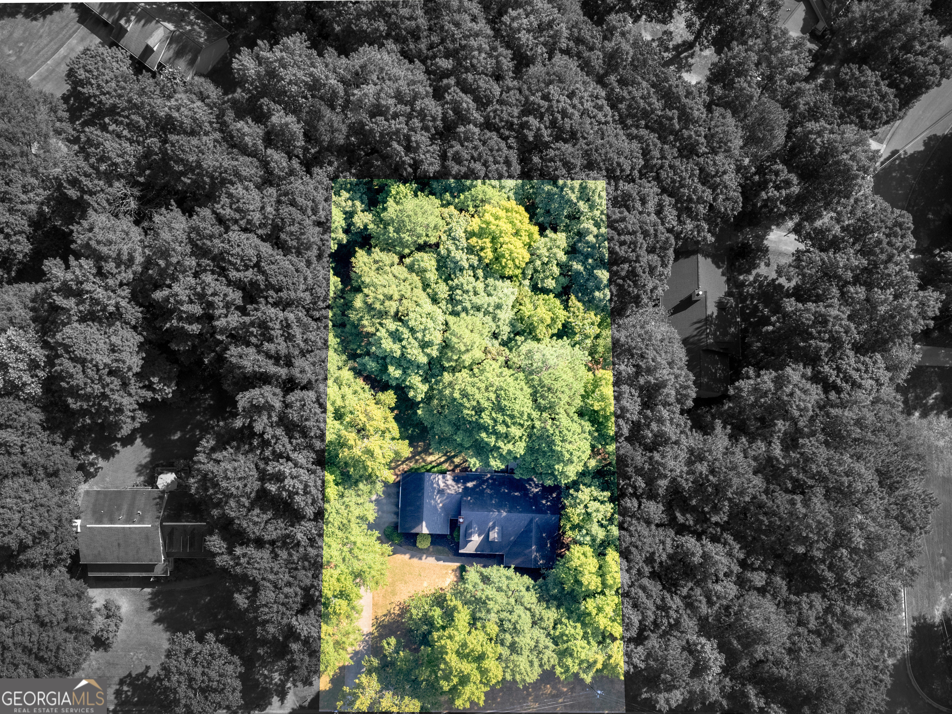 305 Country Lake Drive
