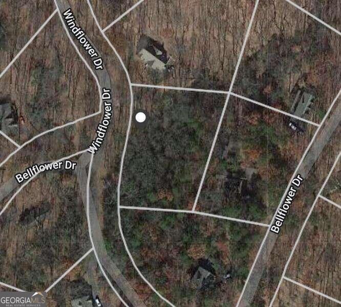 114 Windflower Drive