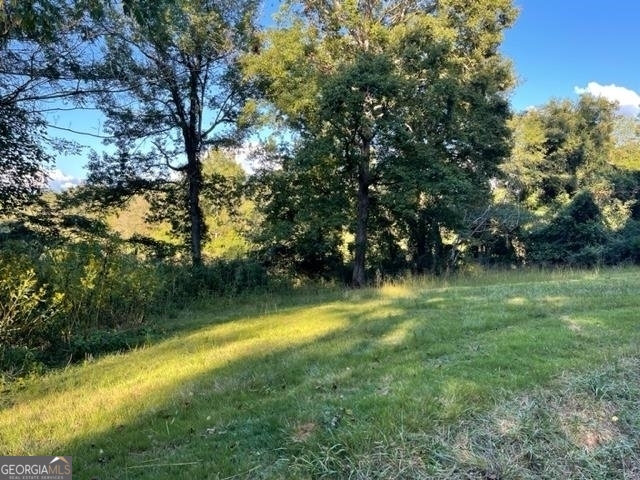 388 Lunsford Road