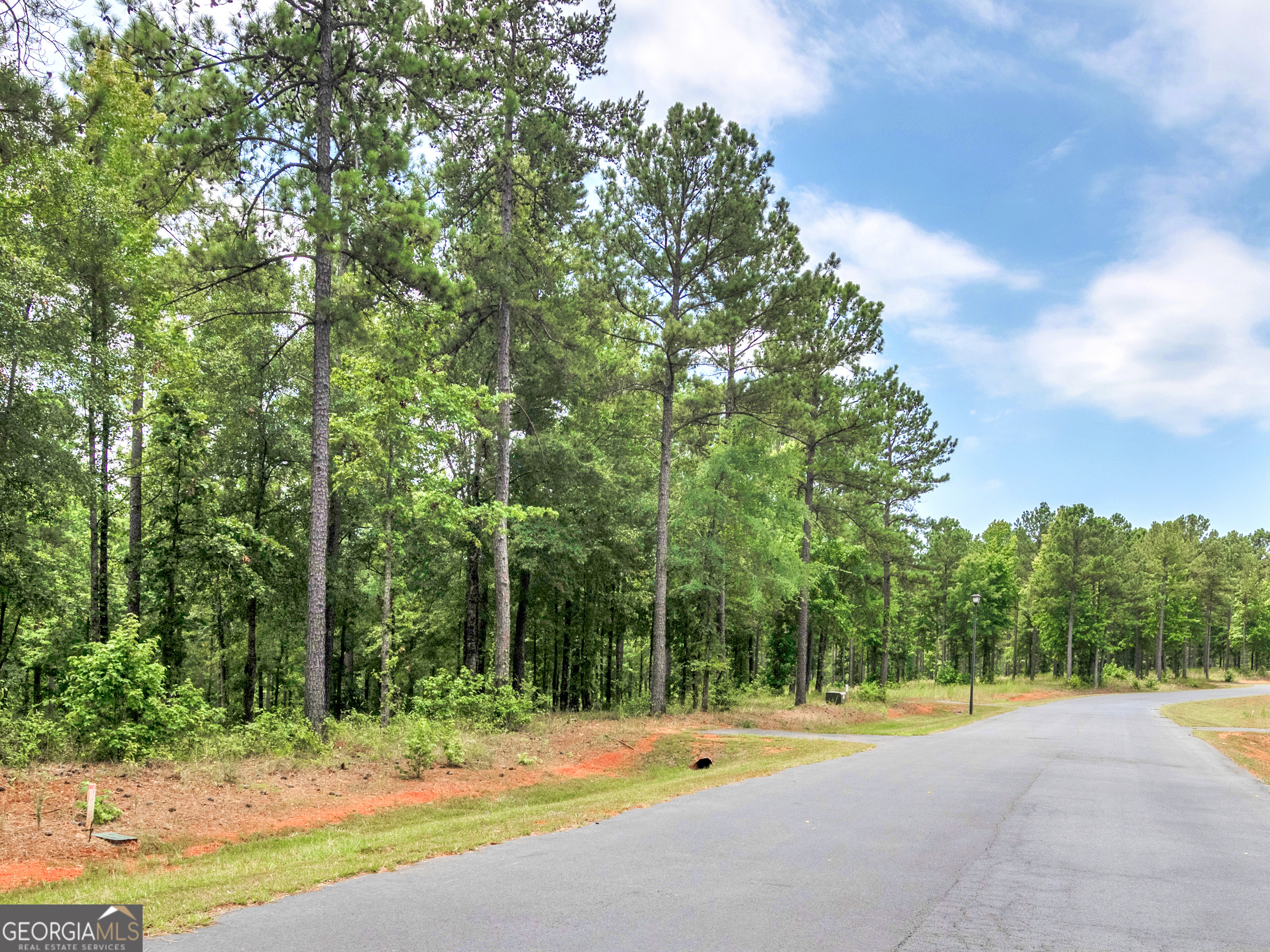 157 Overlook Drive