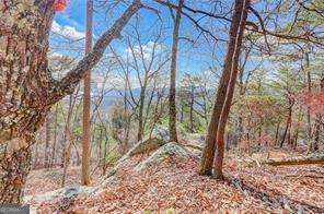 1915 Tower Trail