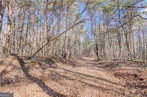 1915 Tower Trail