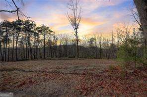 1915 Tower Trail