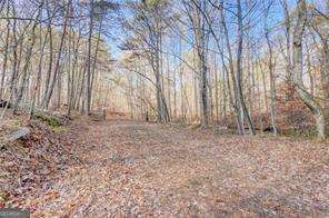 1915 Tower Trail