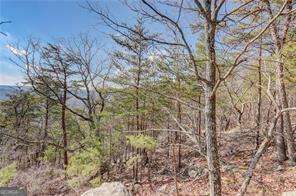 1915 Tower Trail