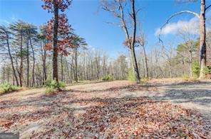 1915 Tower Trail