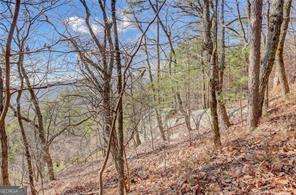 1915 Tower Trail