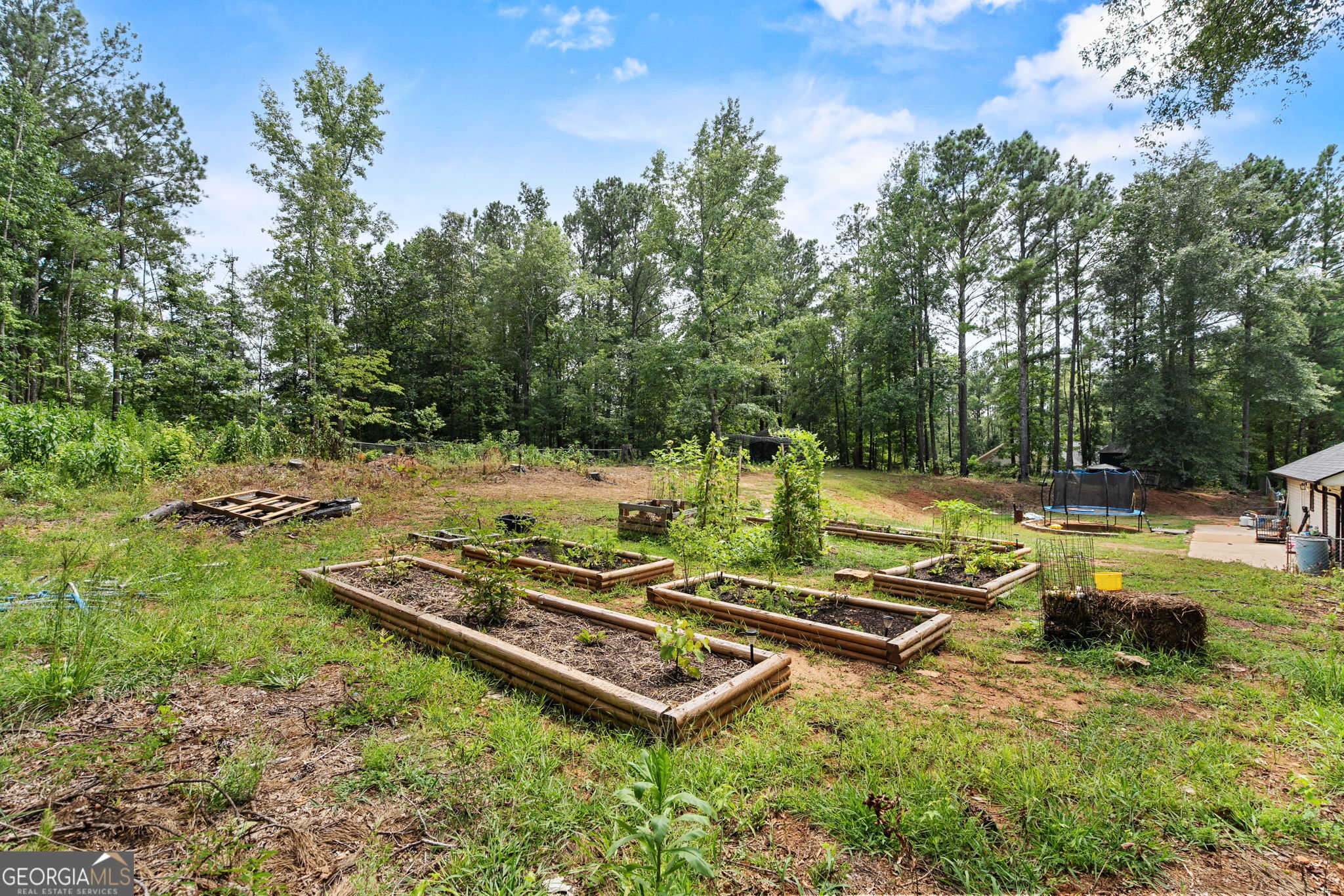 303 Wolf Creek Place