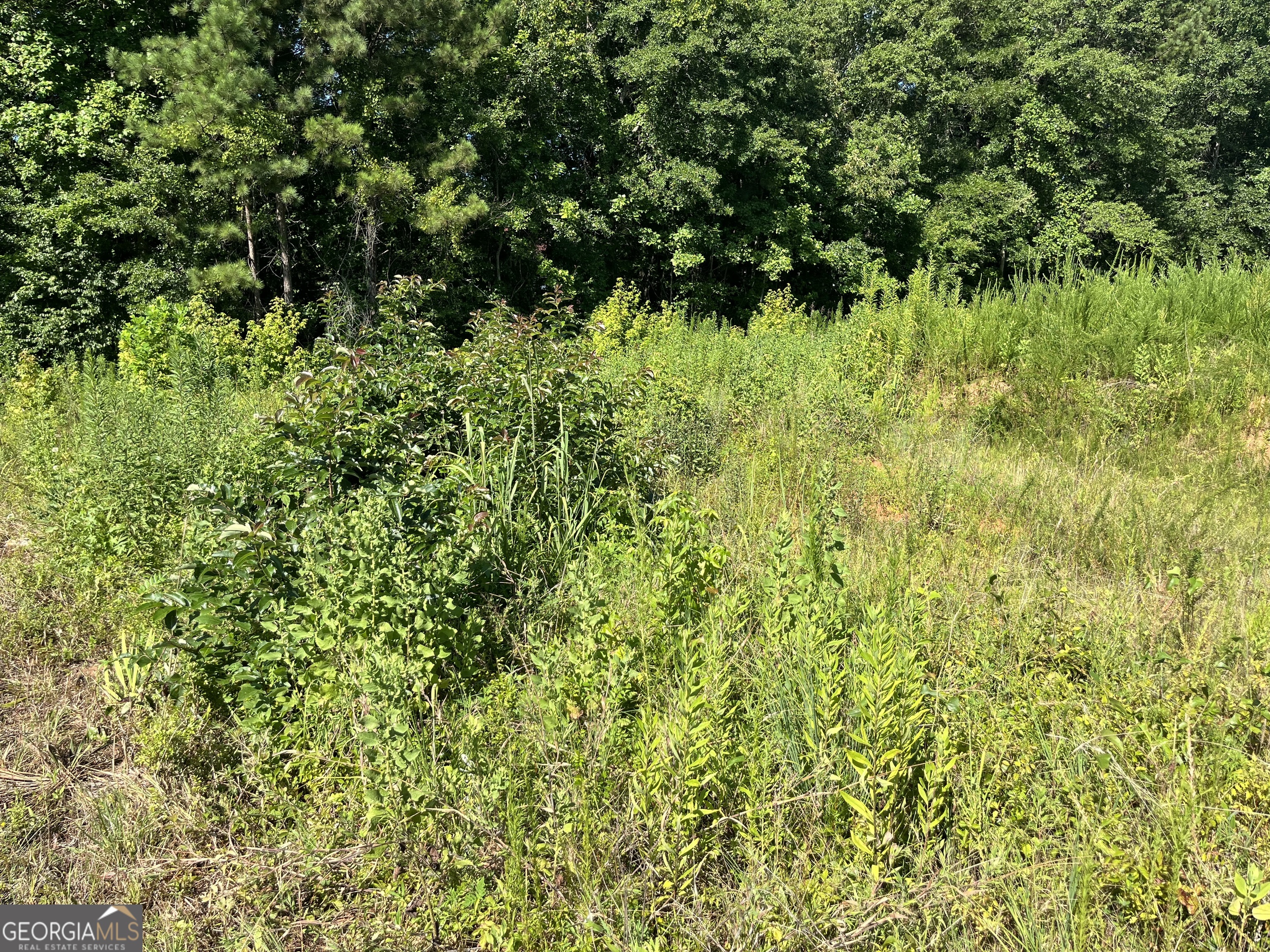 1036 Battersea Place