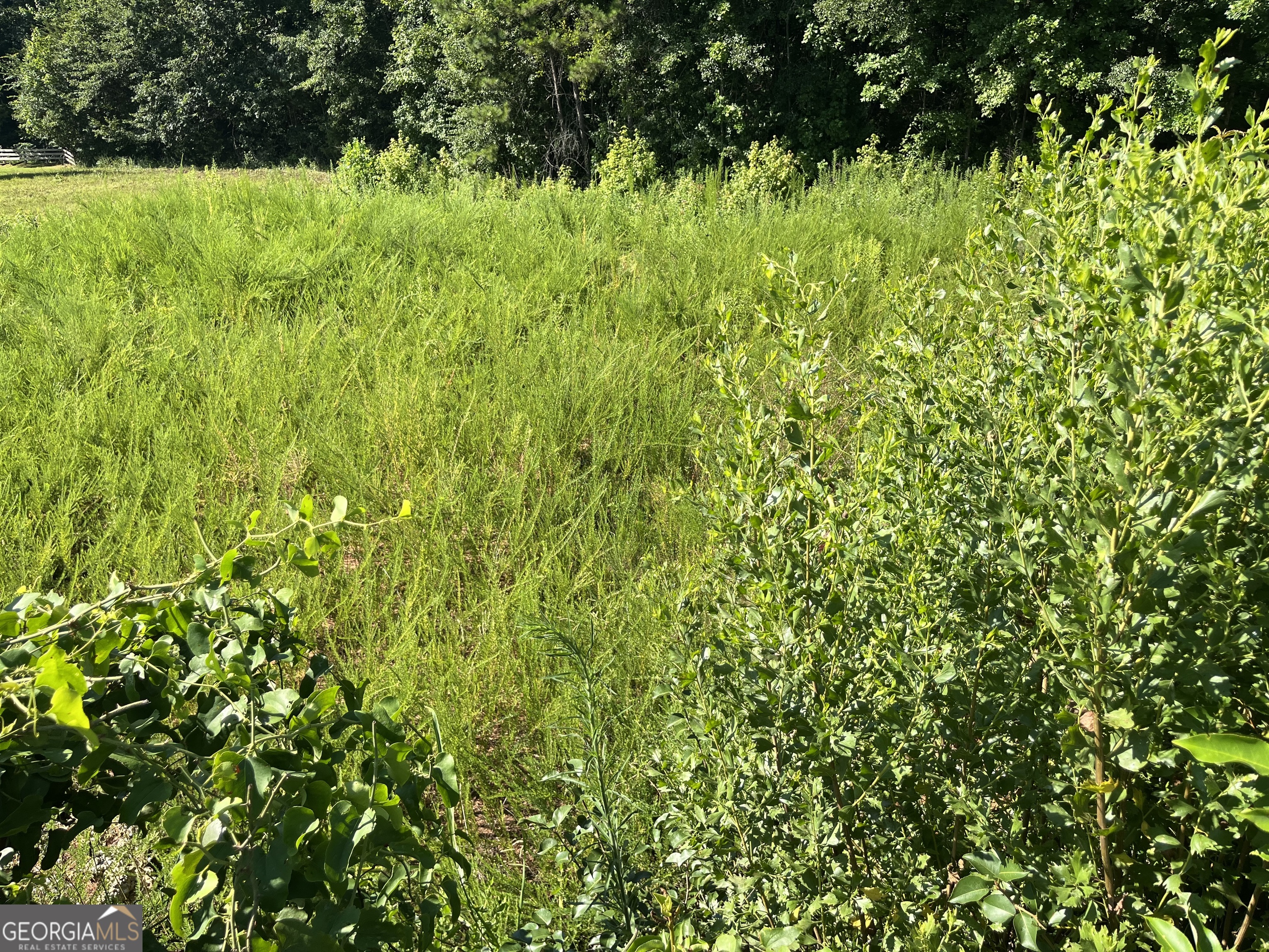 1036 Battersea Place