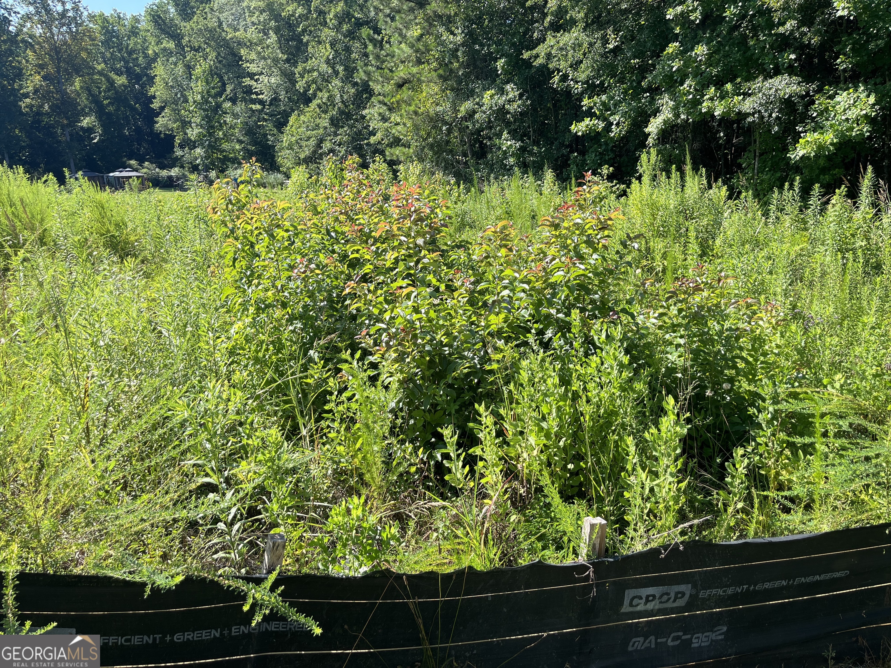 1036 Battersea Place