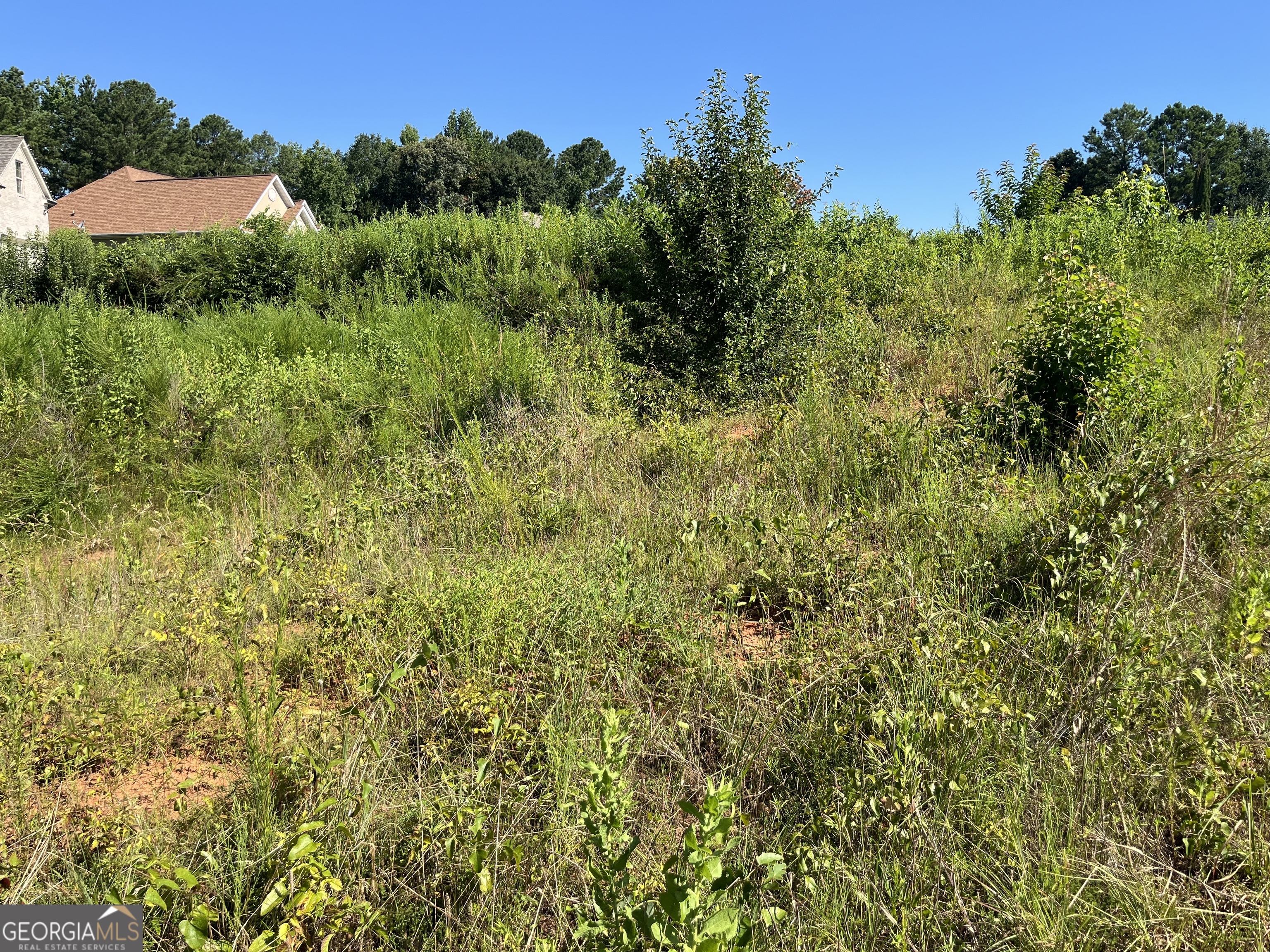 1036 Battersea Place