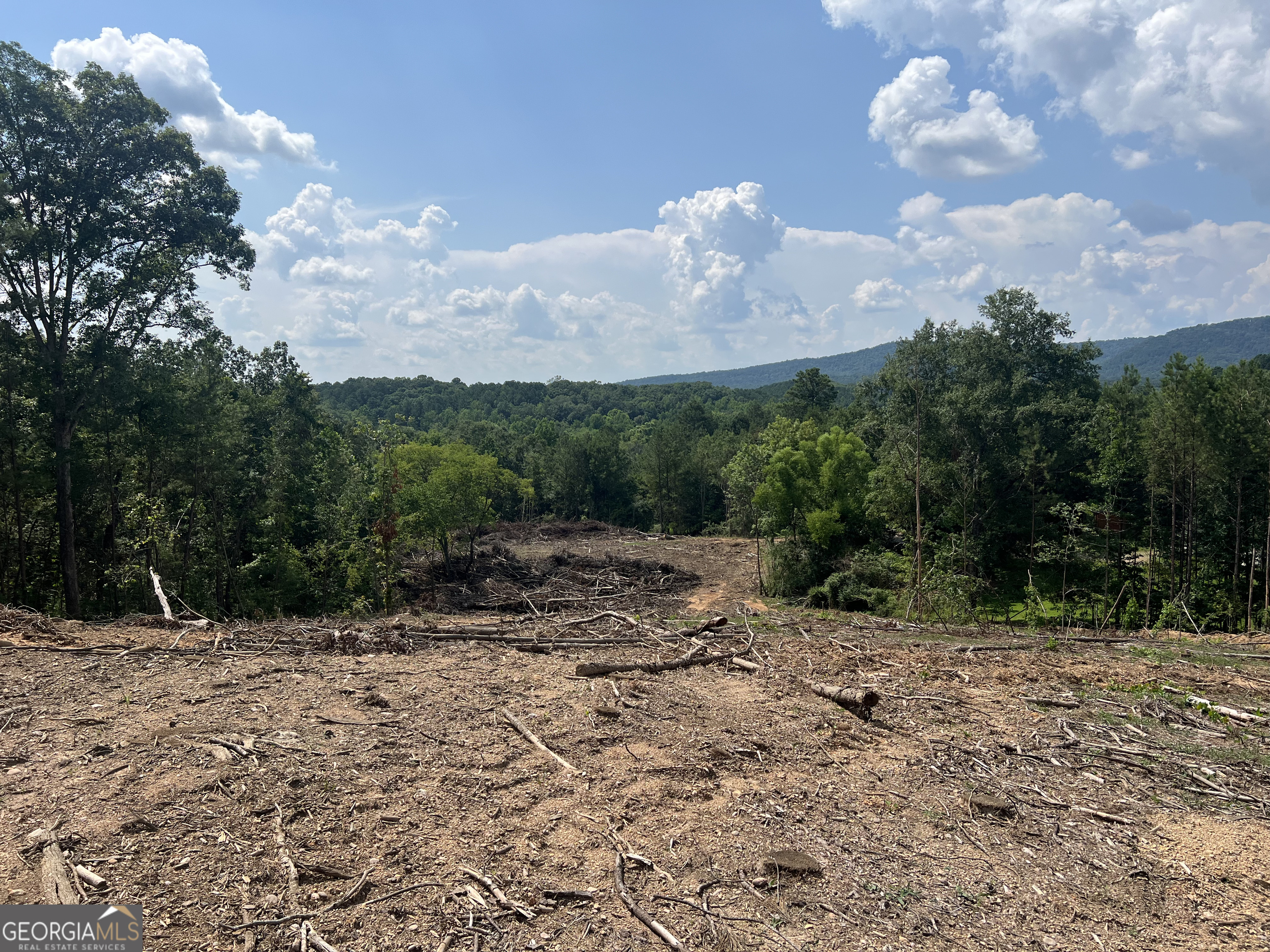 2055 Blacks Bluff Road