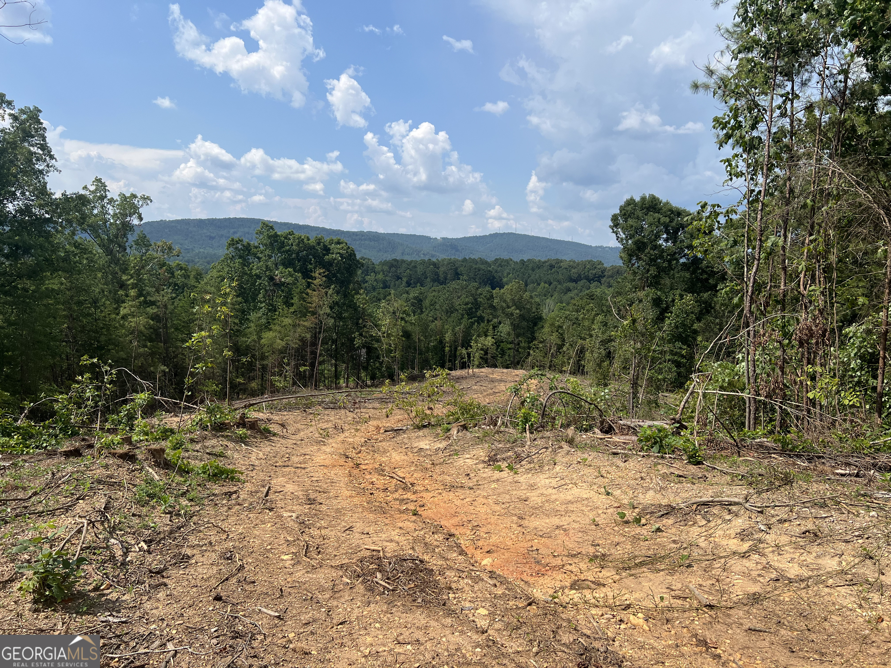 2055 Blacks Bluff Road