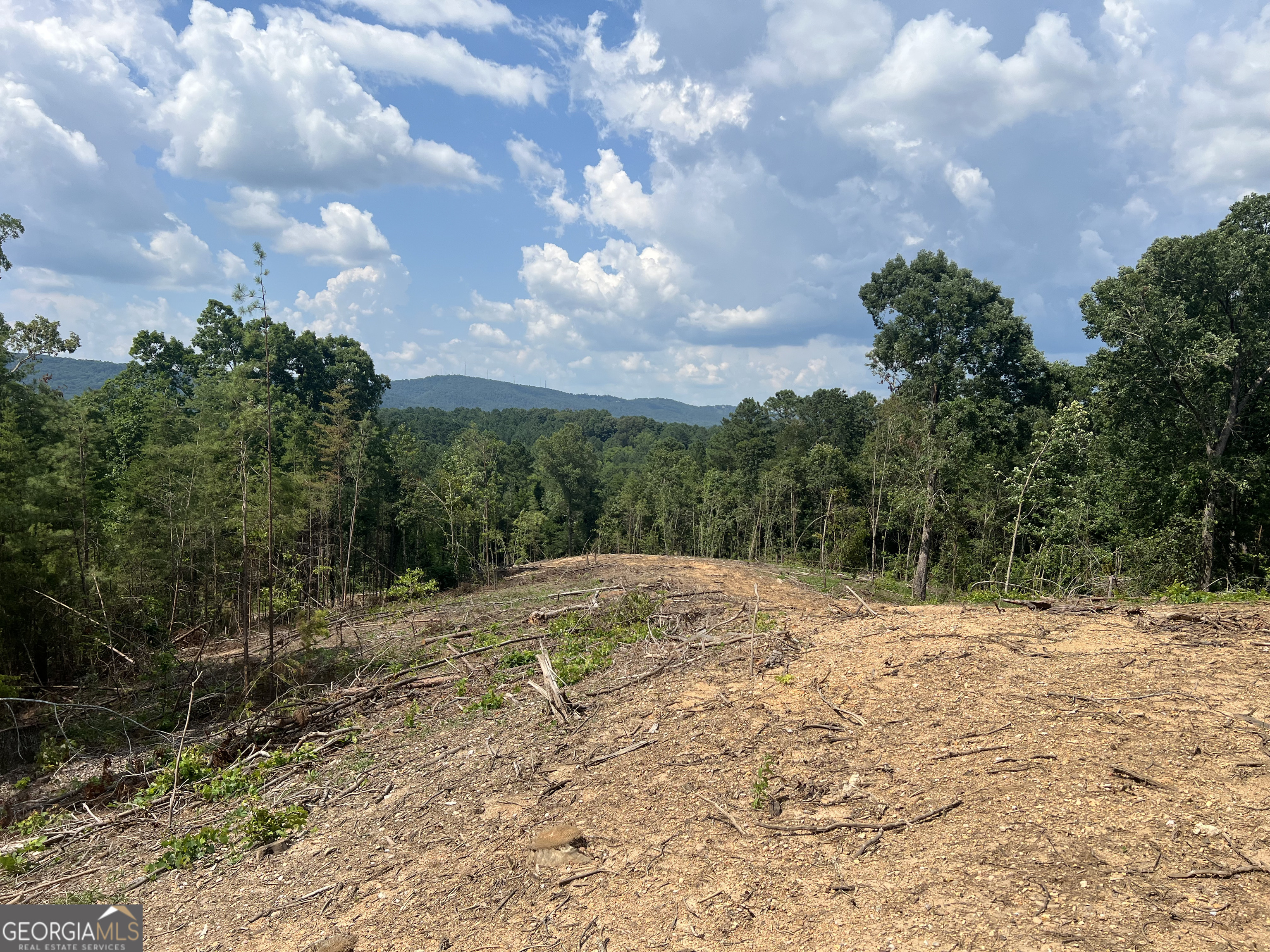 2055 Blacks Bluff Road