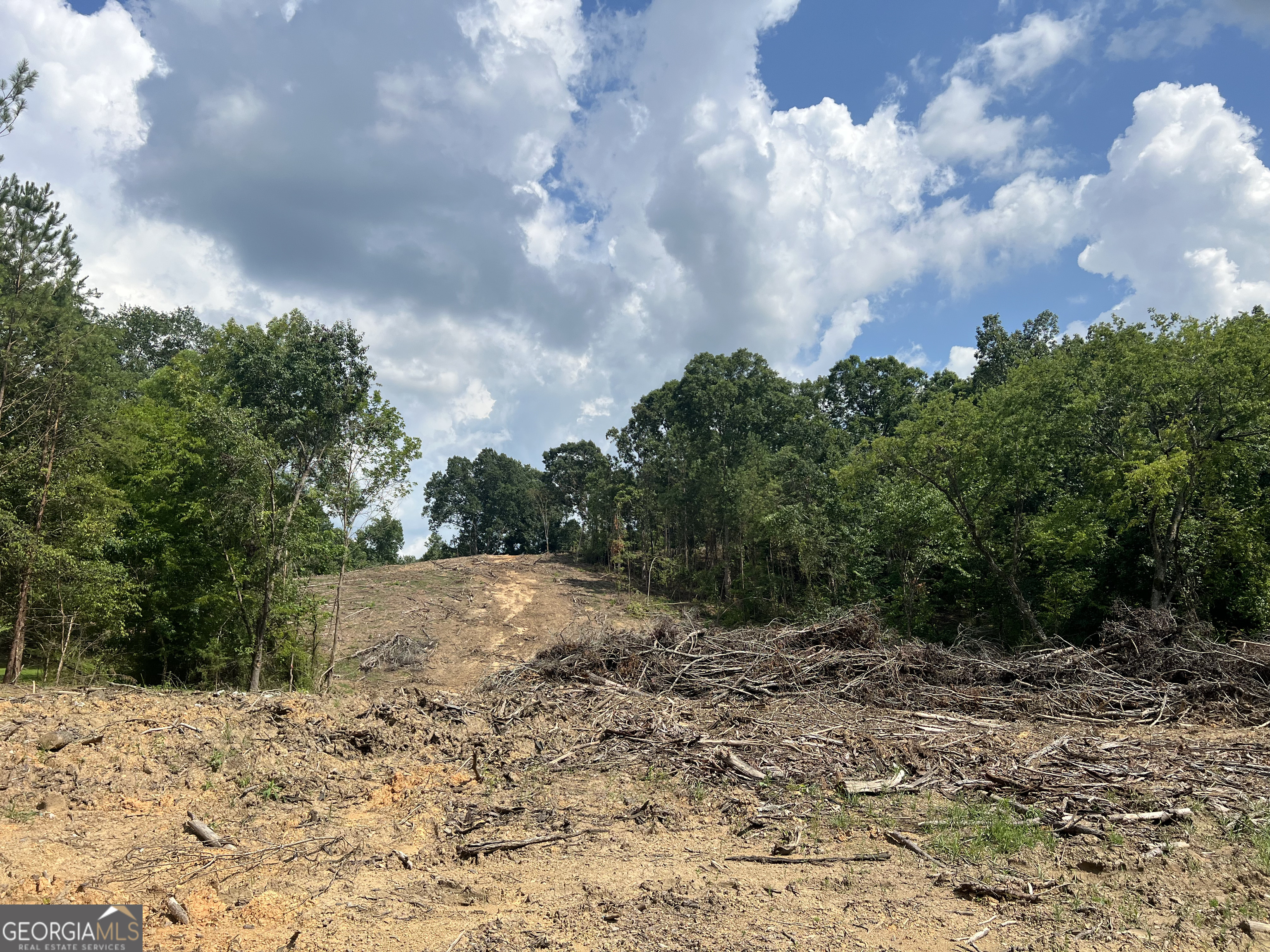 2055 Blacks Bluff Road