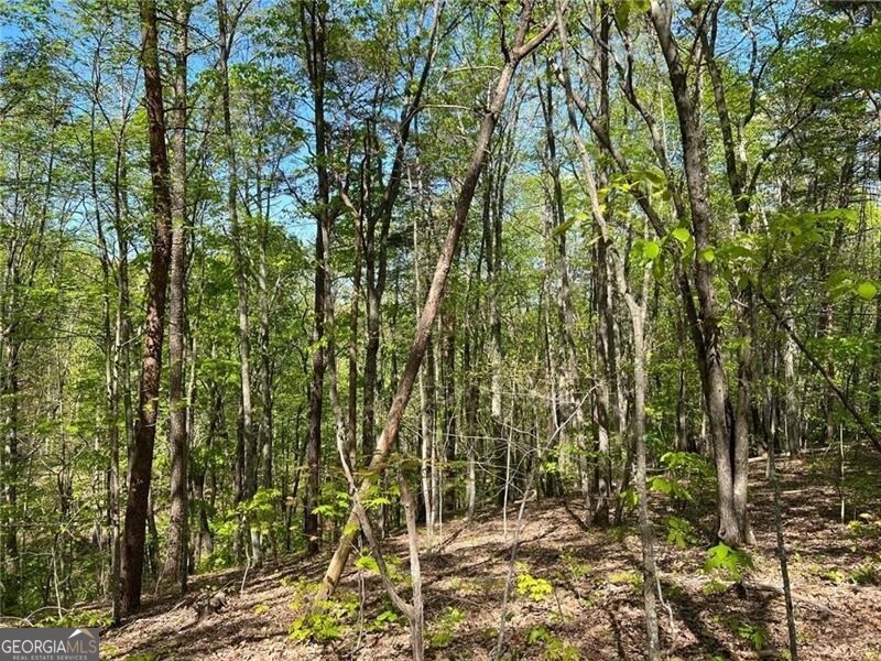 269 Appleberry Mountain Road, Waleska