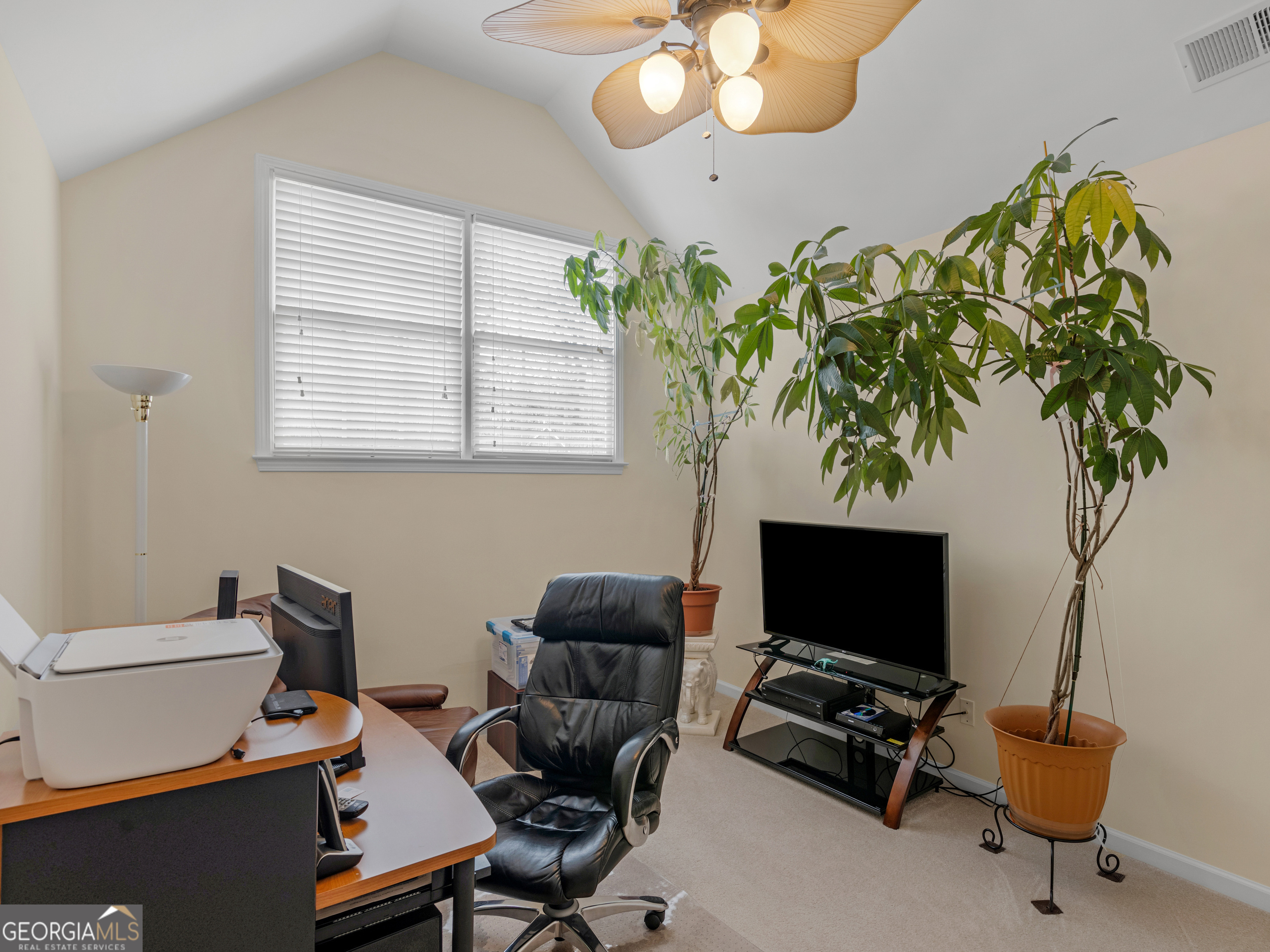 17 Rocky Mountain Pass