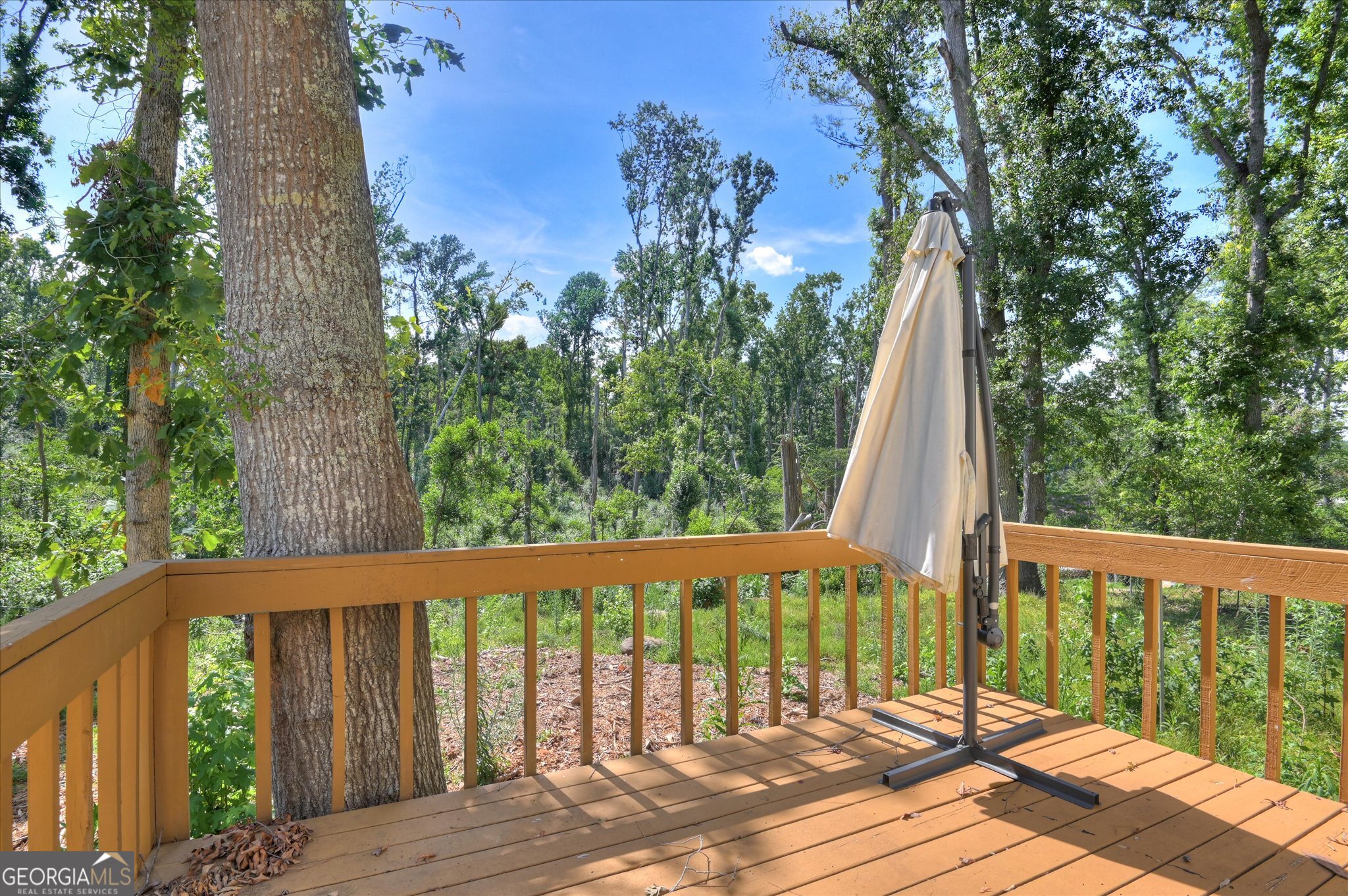 277 W Wynngate Drive