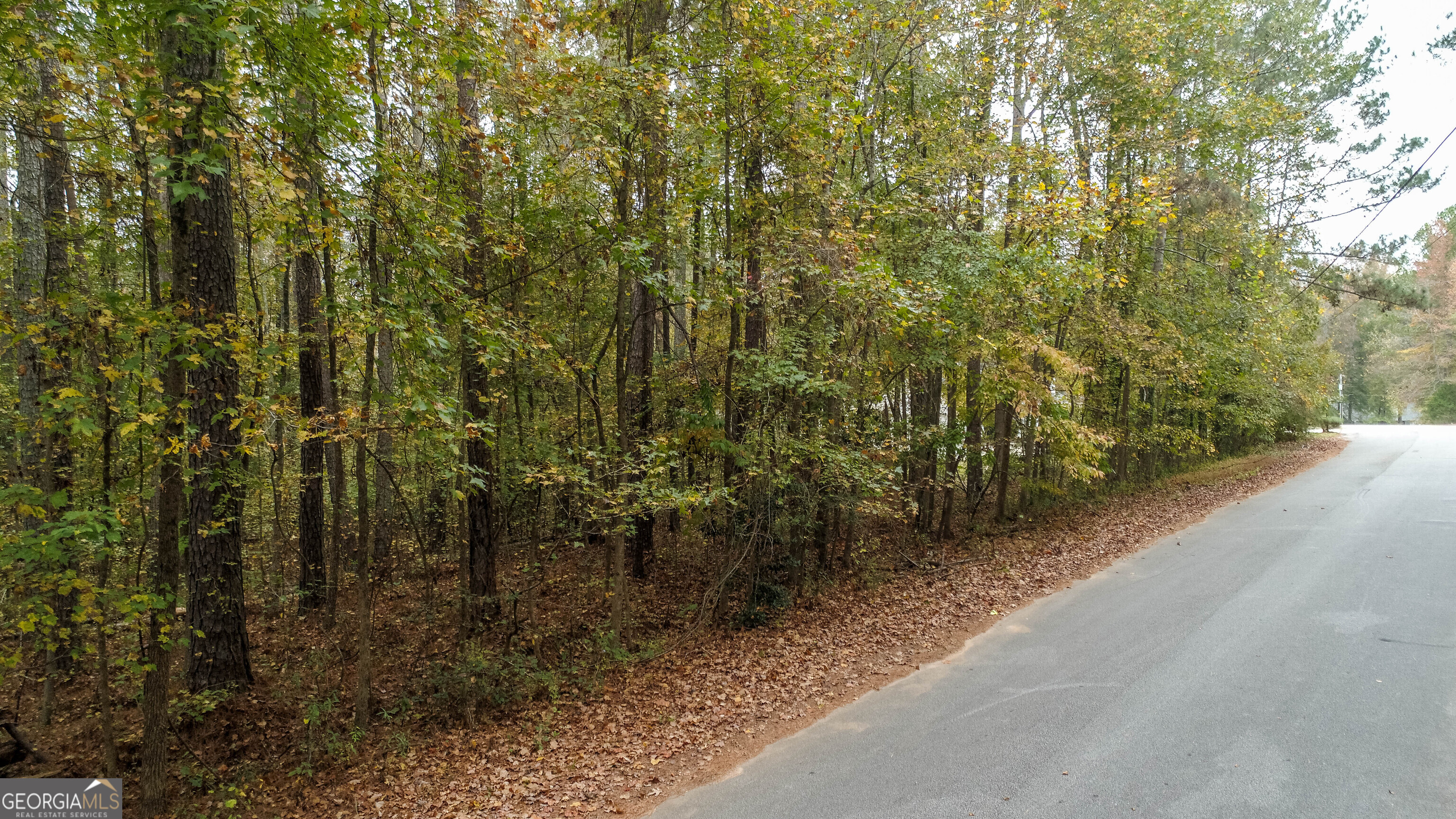 3589 Forest Edge Drive SW