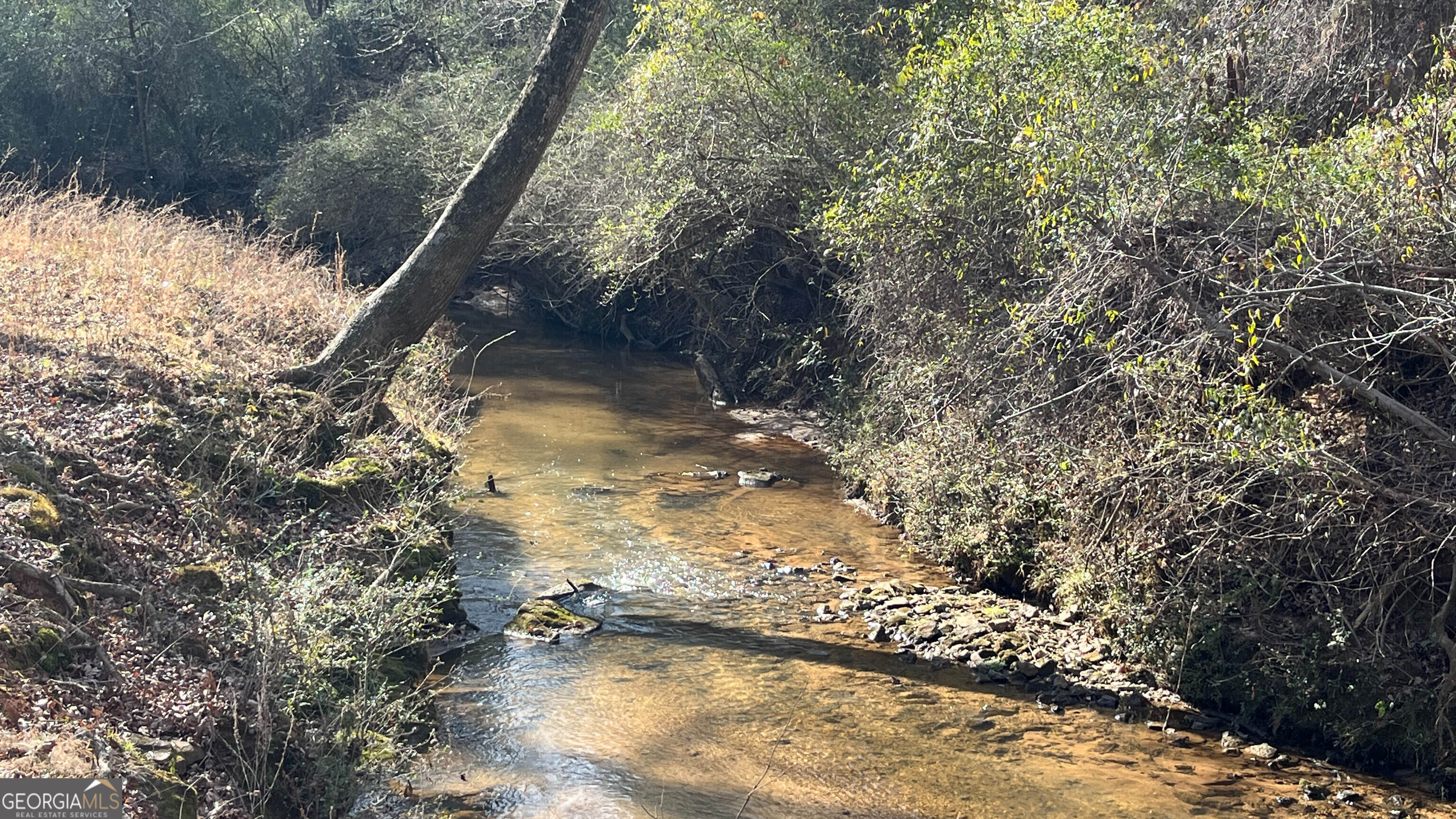 523 Fredonia Church Road