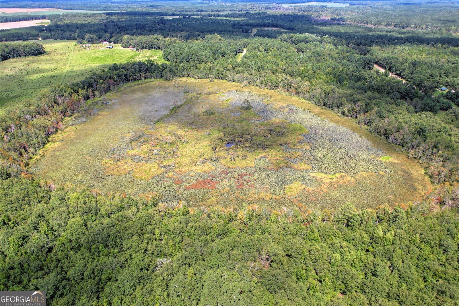 3280 Eden Church Road