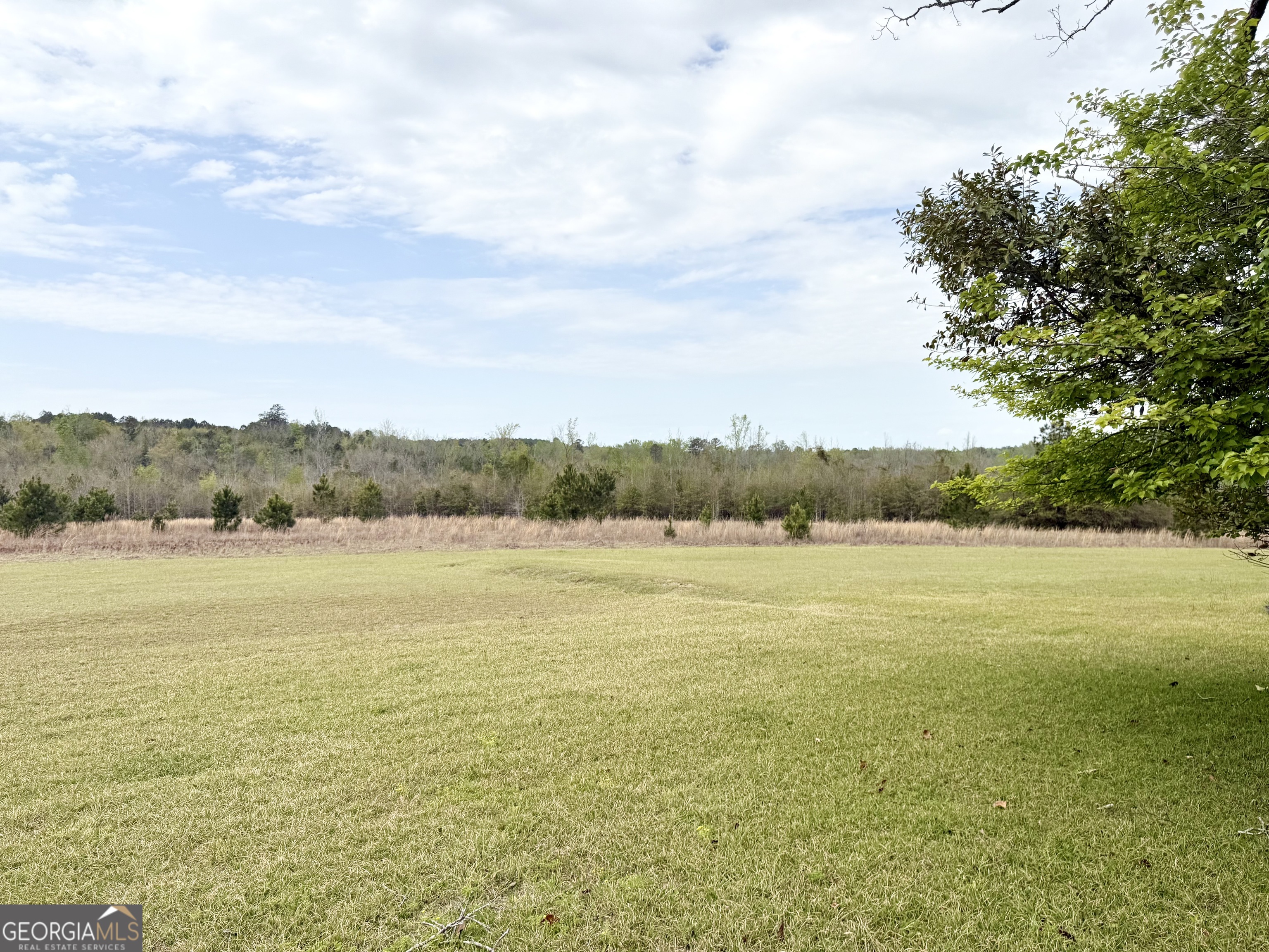 2235 Long Branch Road