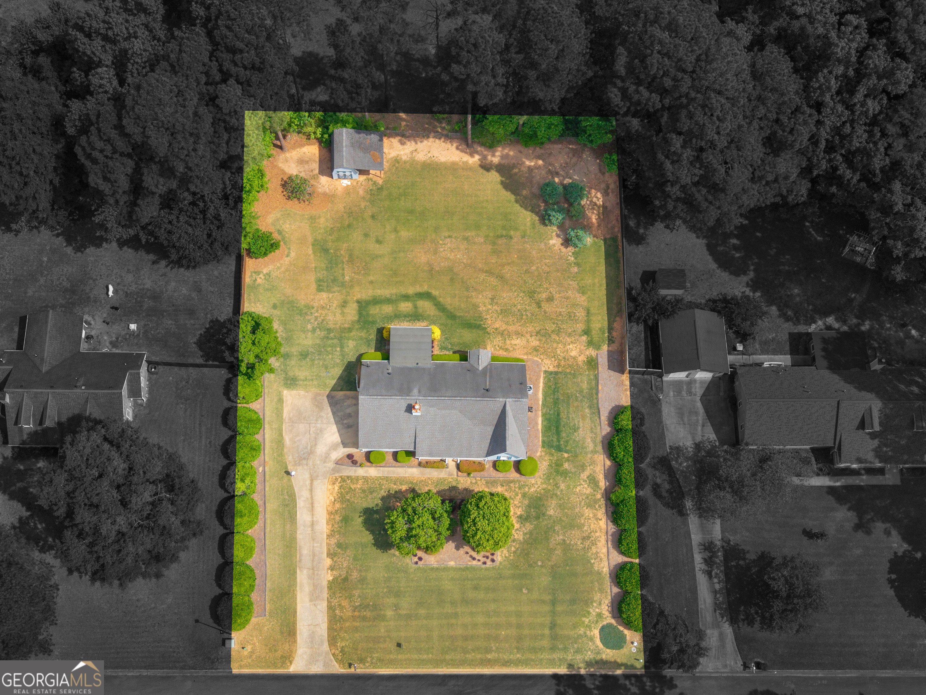 255 Pine Tree Lane