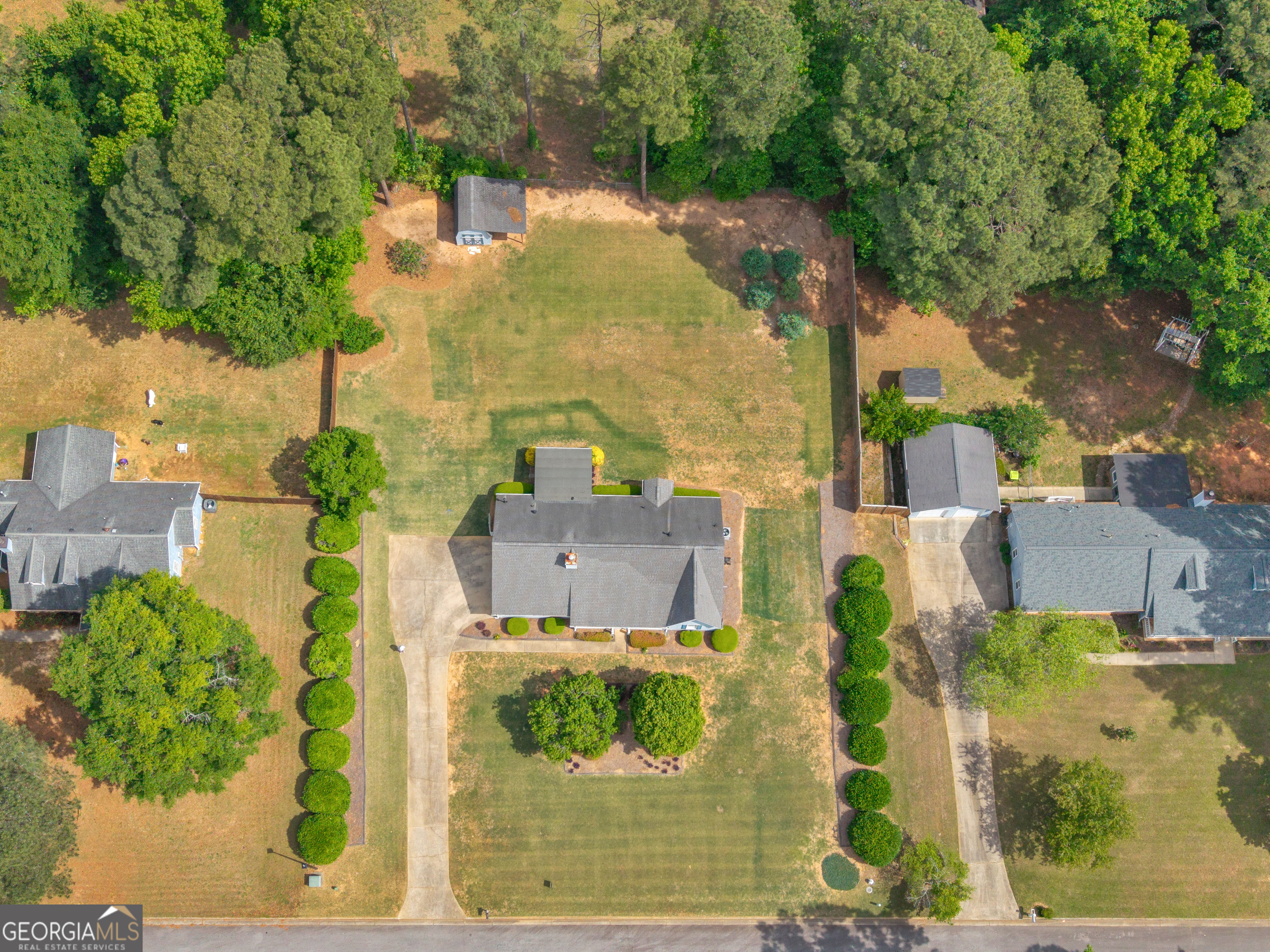 255 Pine Tree Lane