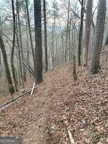 0 Shady Grove Church Road