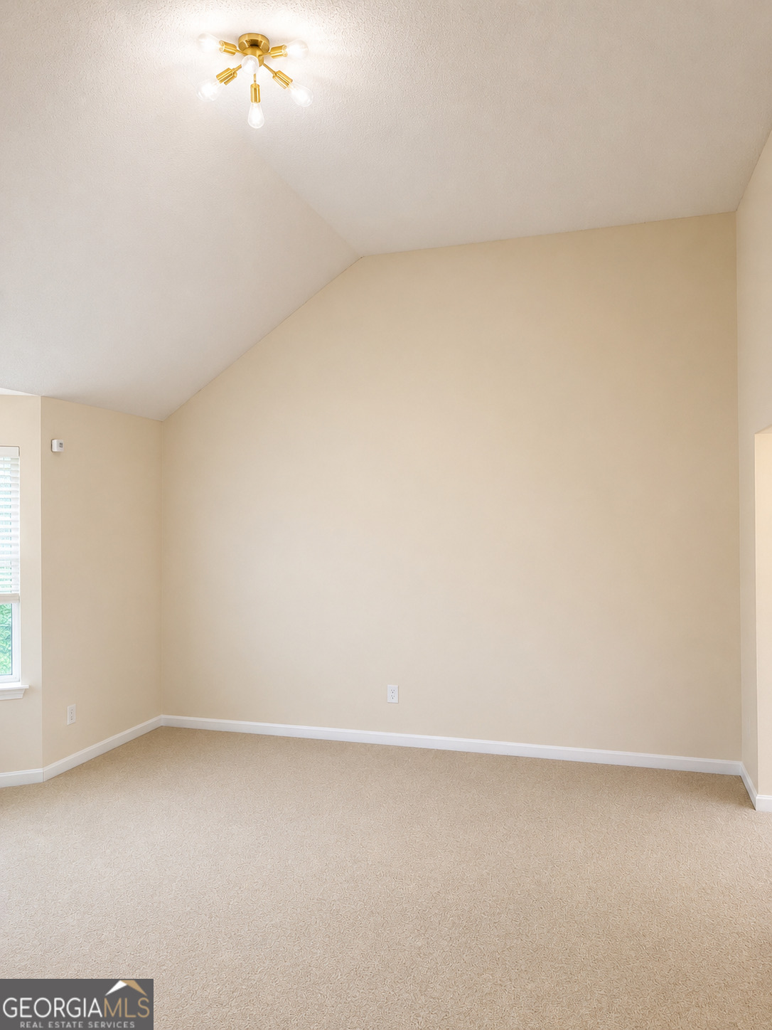 609 Jeans Circle
