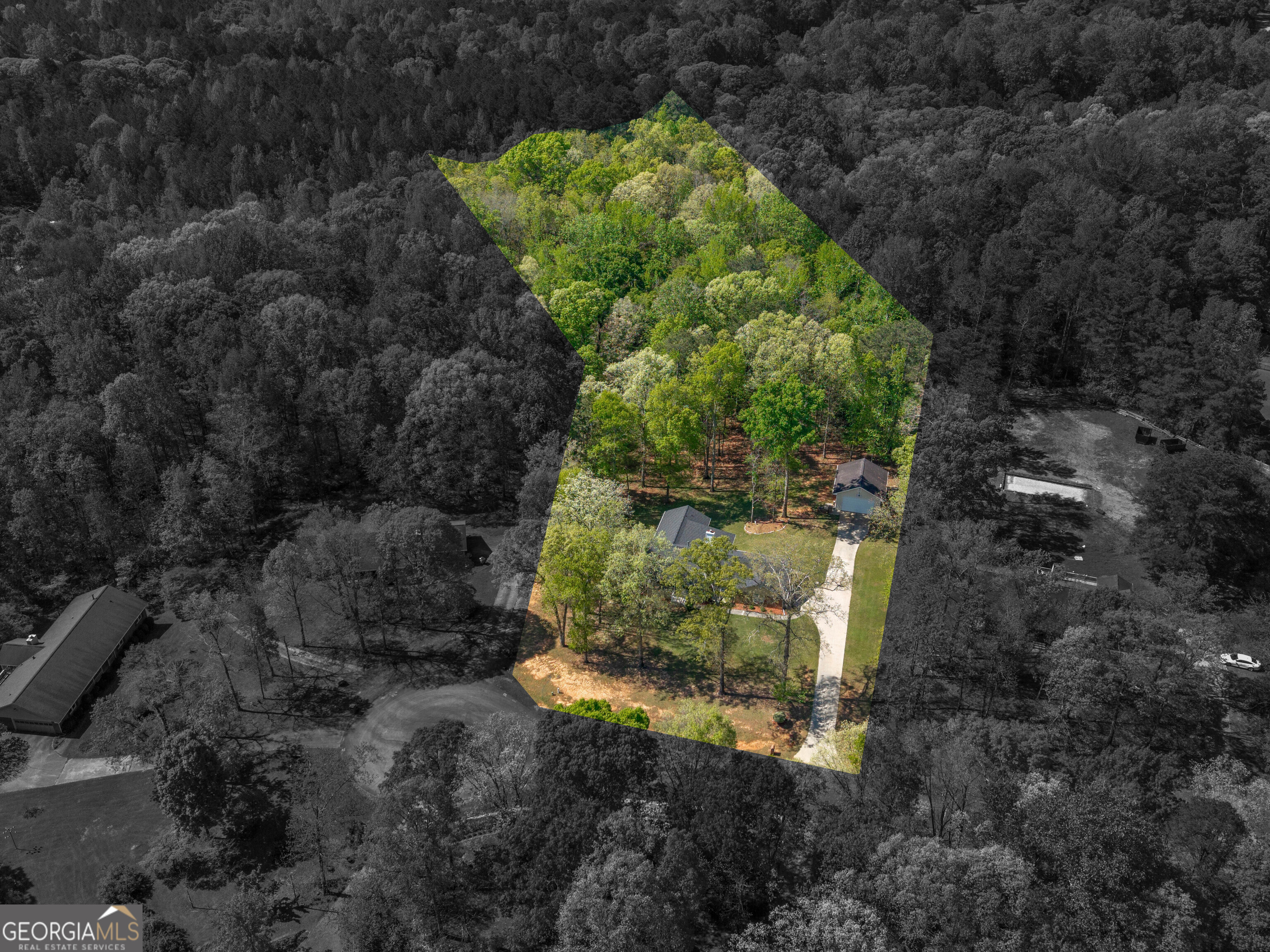 316 Satie Creek Way