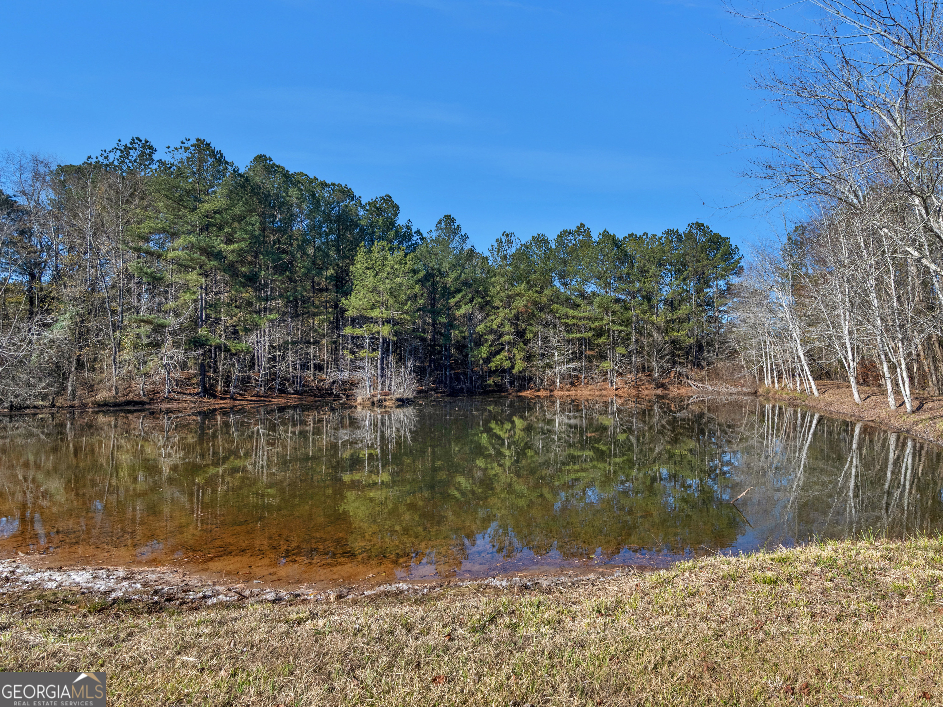 346 Tussahaw Trail