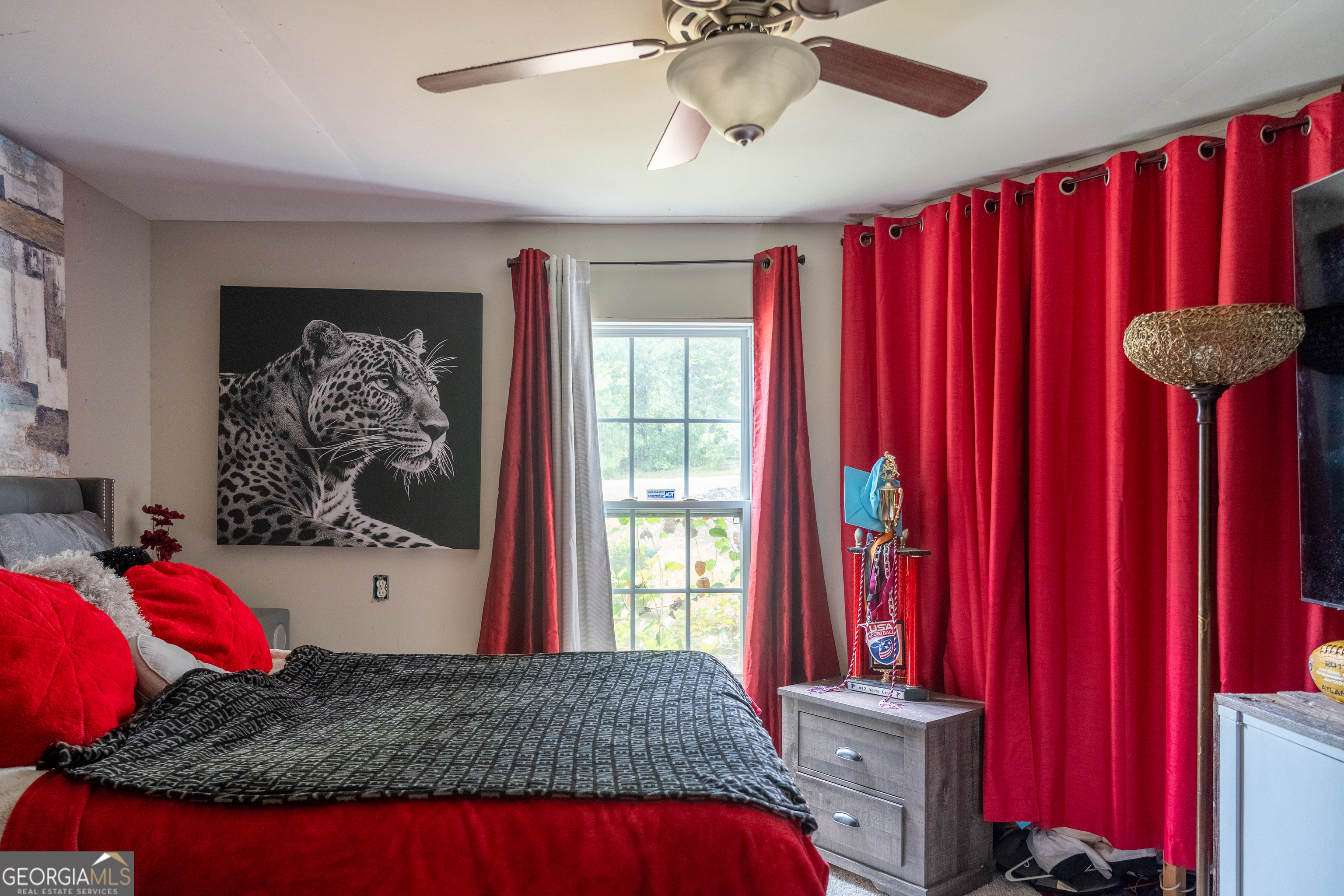 328 Black Willow Court