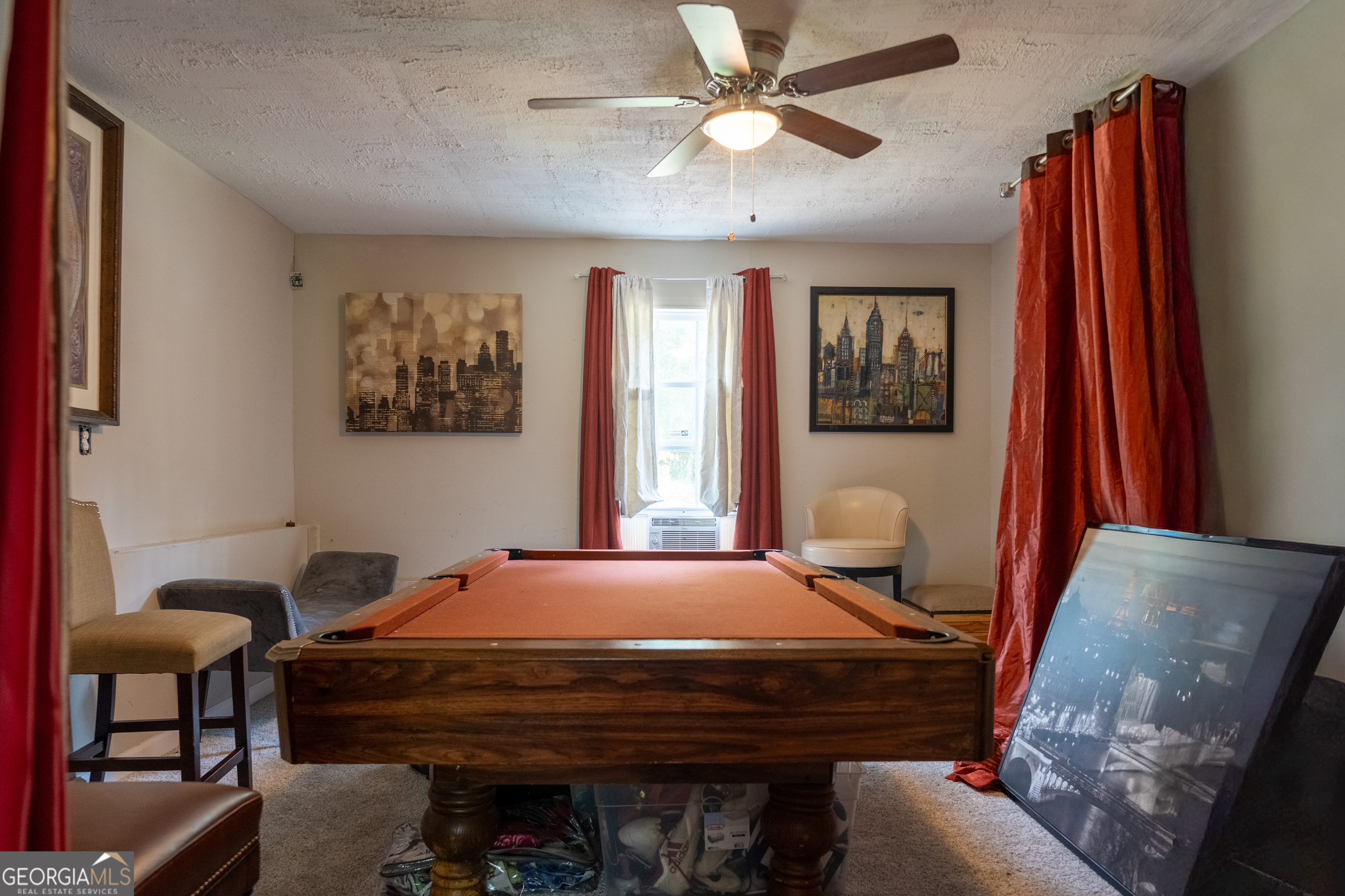 328 Black Willow Court