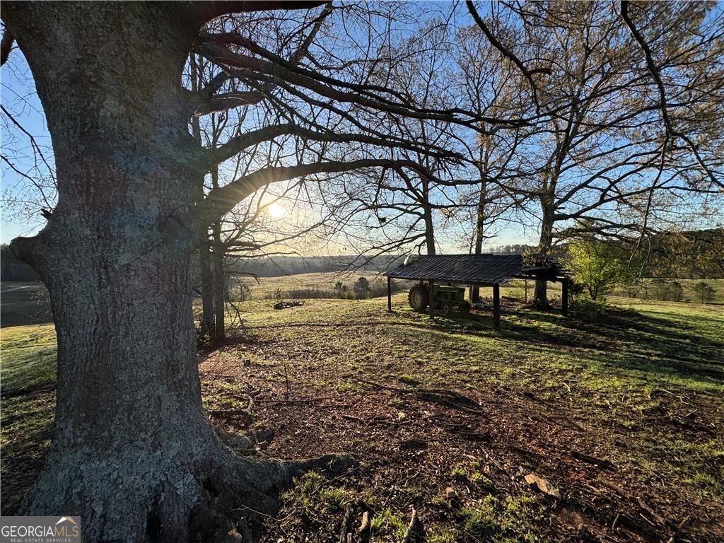 1126 County Road 145