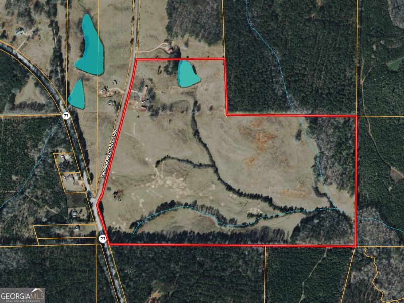 1126 County Road 145