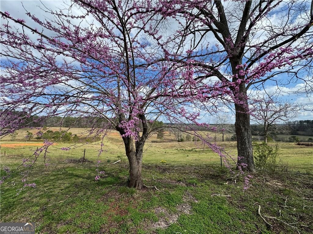 1126 County Road 145