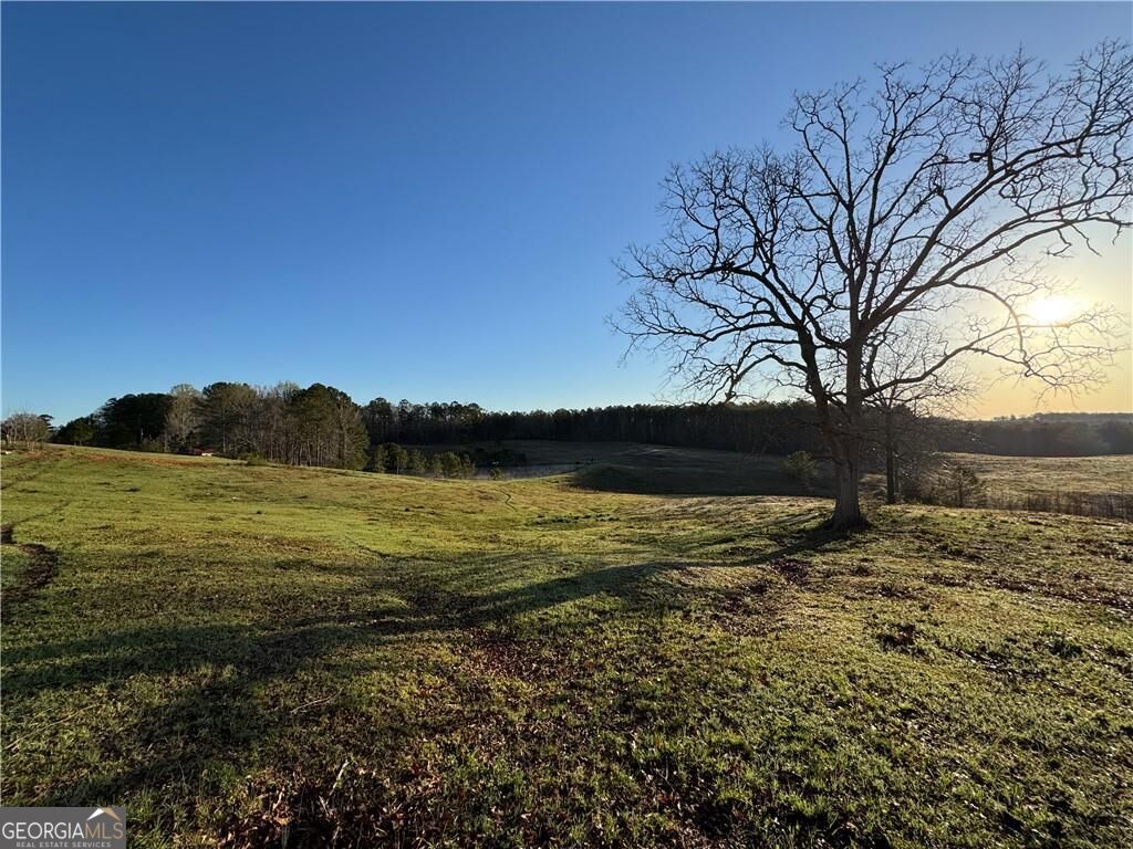 1126 County Road 145