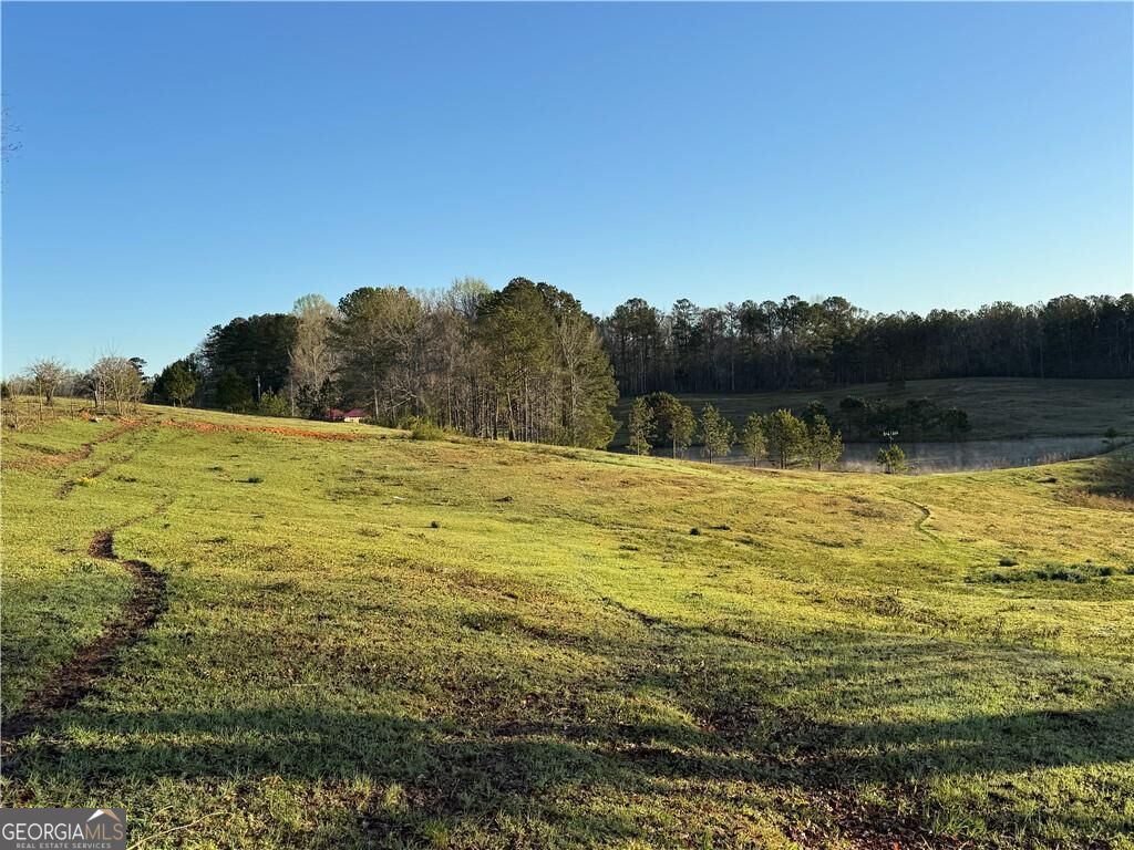1126 County Road 145