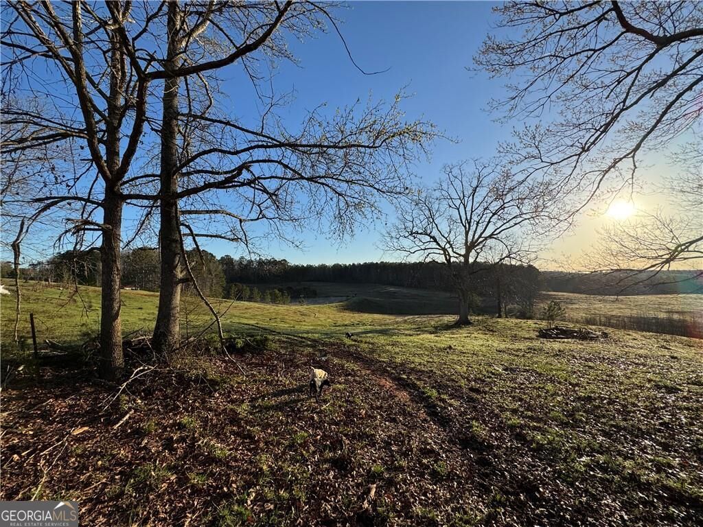 1126 County Road 145