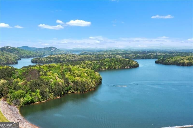 24 Allatoona Landing cabin
