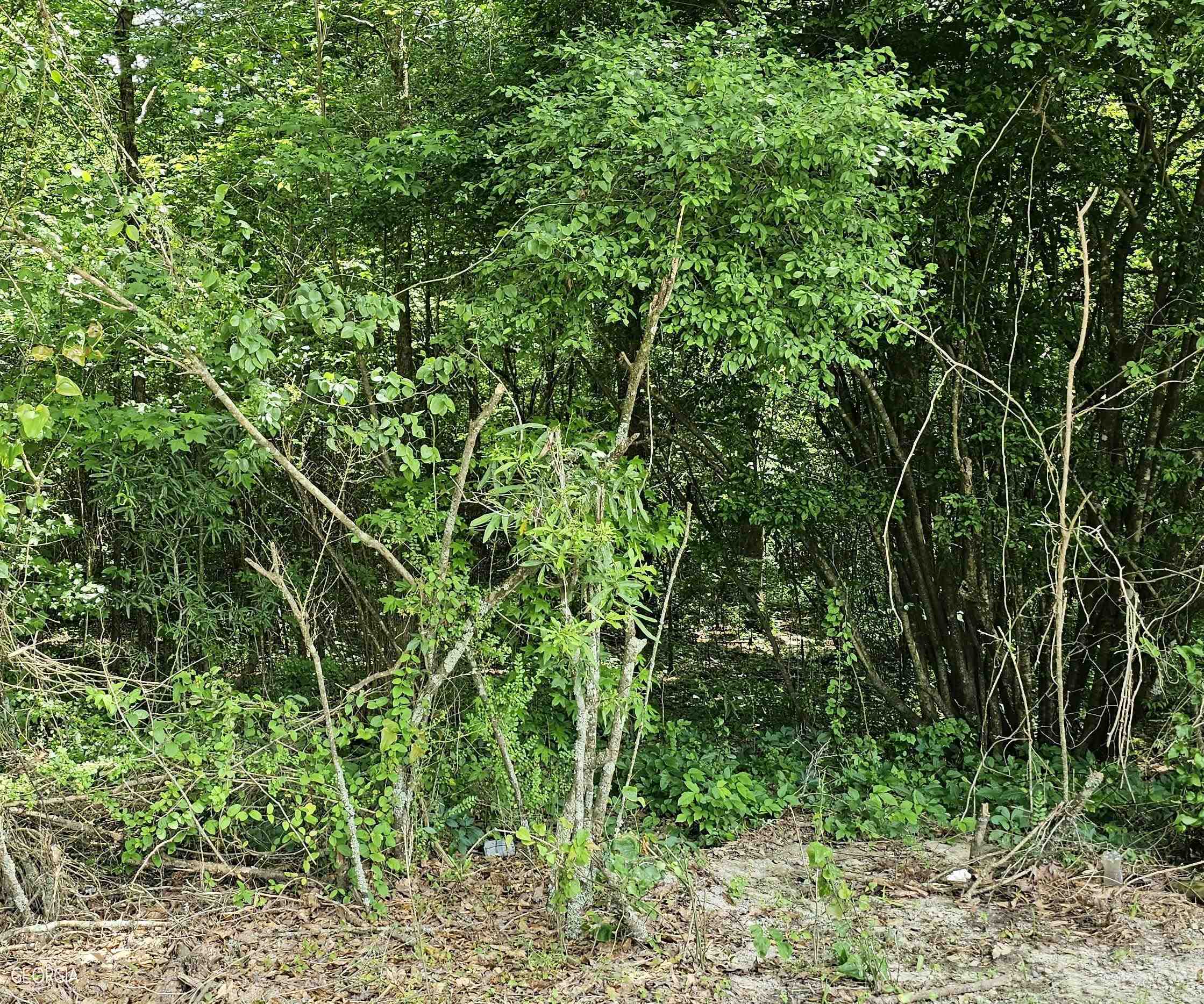 305 Anderson Road