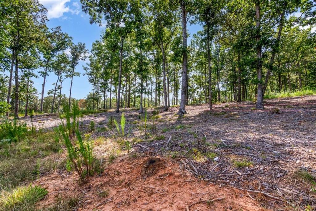 LT 84 Ridge Dr