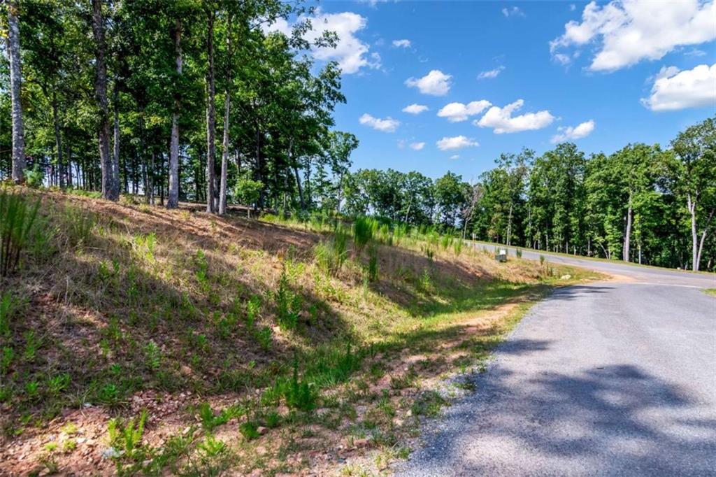 LT 84 Ridge Dr
