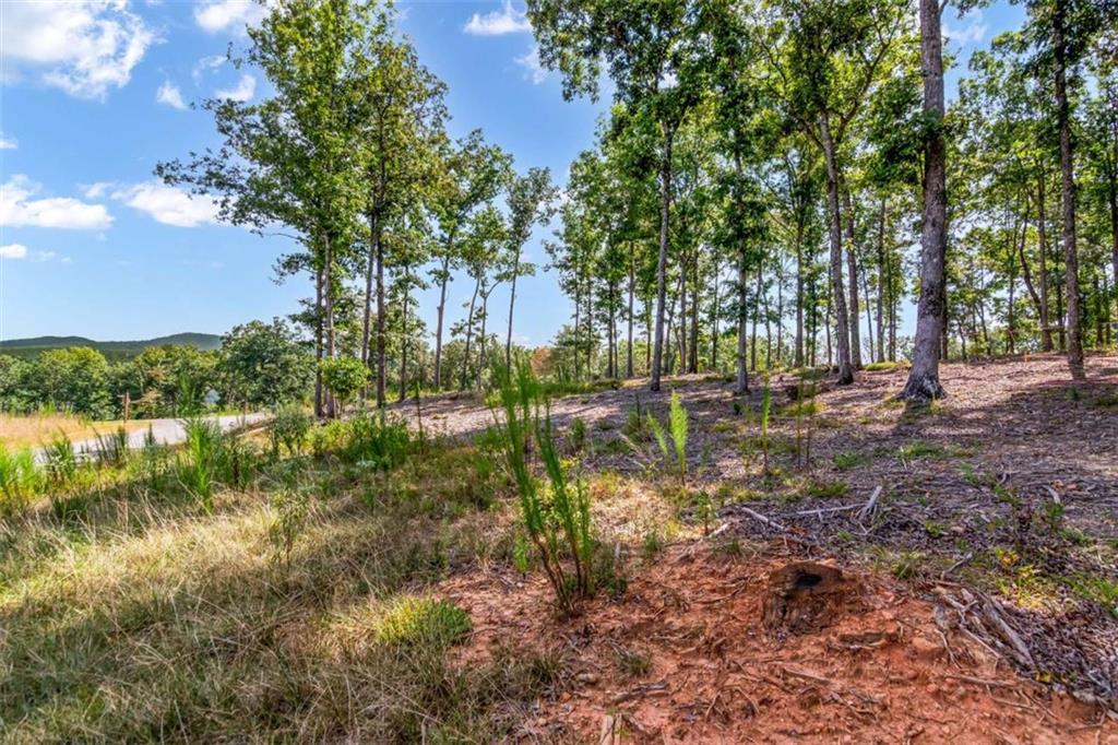 LT 84 Ridge Dr