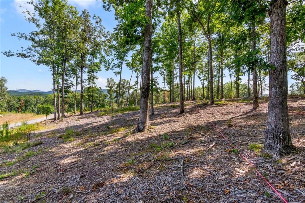 LT 84 Ridge Dr