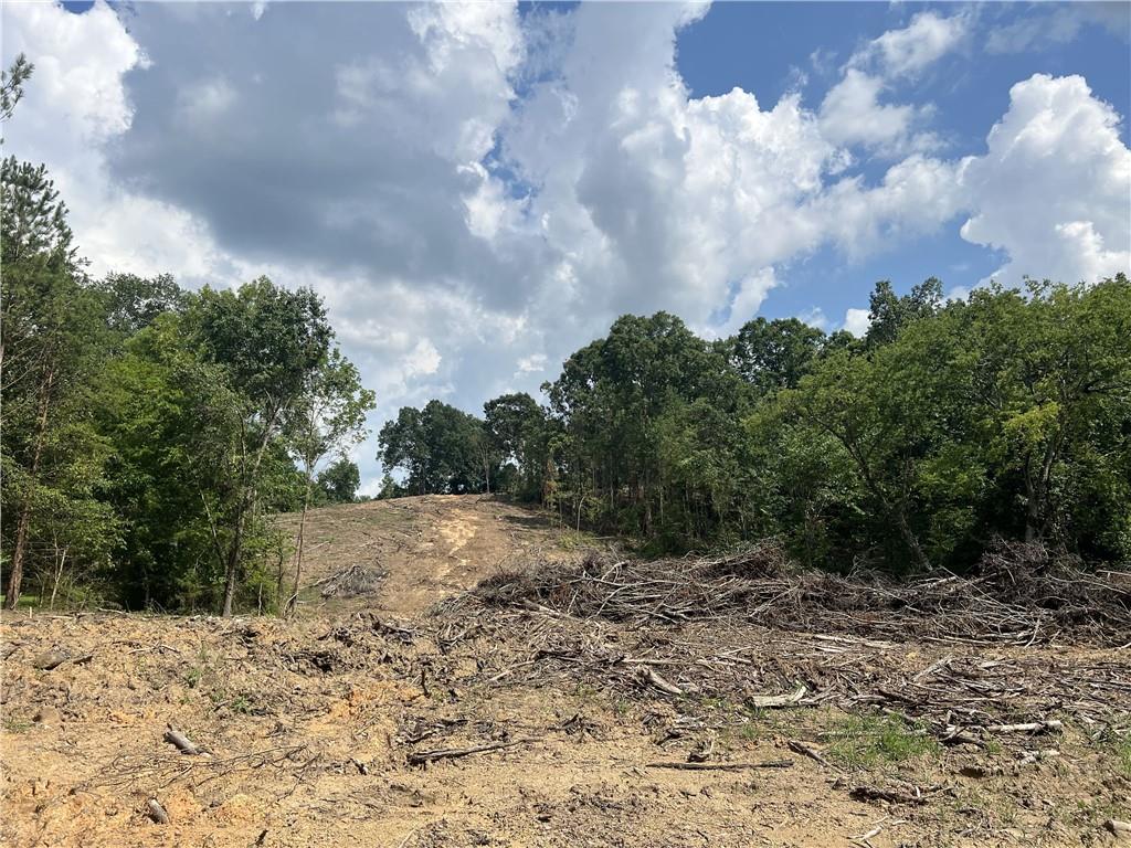 2055 Blacks Bluff Road SW